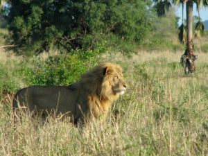 269343_10151831127560389_1908601040_n