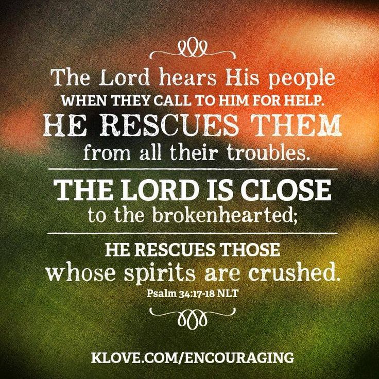 ff4c7bbdc9027350f0ffe6b3d9f811a2