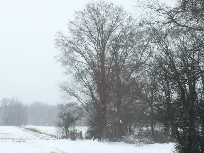 This image has an empty alt attribute; its file name is img_5010.jpeg